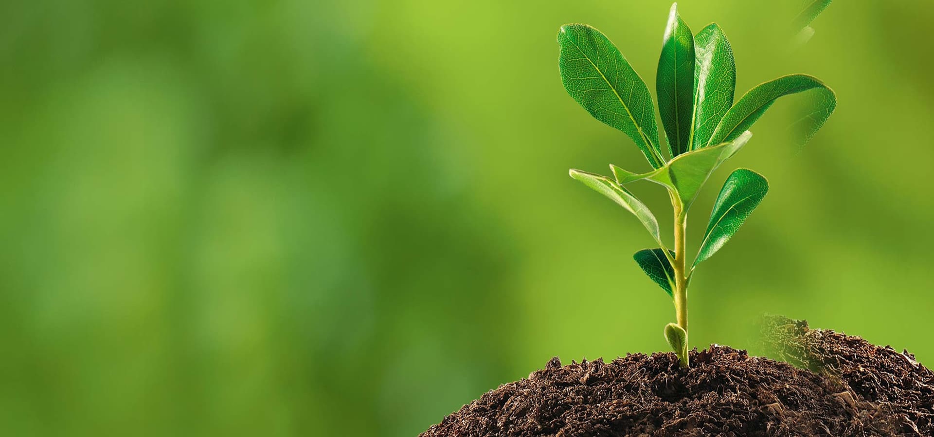 Sustainability Image 1